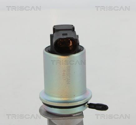 Vanne EGR Triscan A/S ref. 8813 29066
