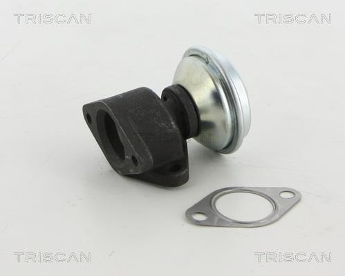 Vanne EGR Triscan A/S 8813 29067