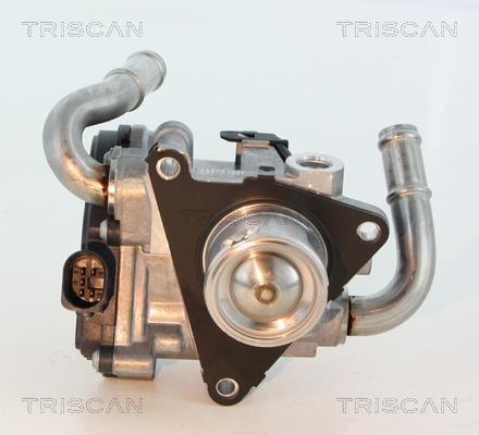 Vanne EGR Triscan A/S ref. 8813 29069