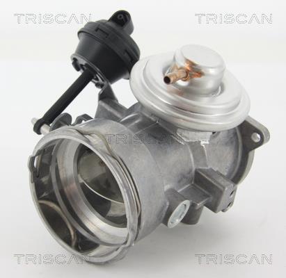 Vanne EGR Triscan A/S 8813 29070