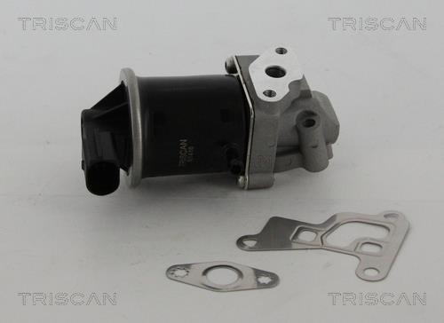 Vanne EGR Triscan A/S 8813 29100