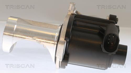 Vanne EGR Triscan A/S ref. 8813 29101