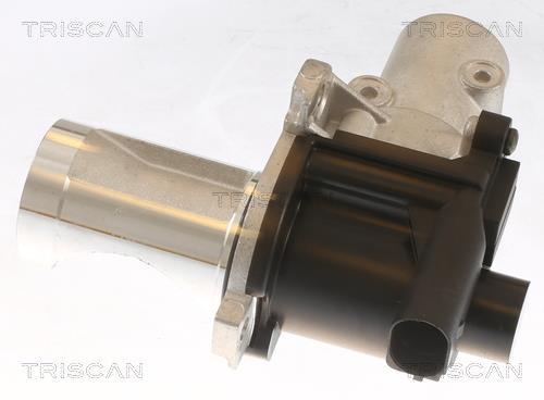 Vanne EGR Triscan A/S ref. 8813 29101