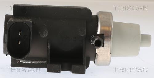 Vanne EGR Triscan A/S 8813 29103