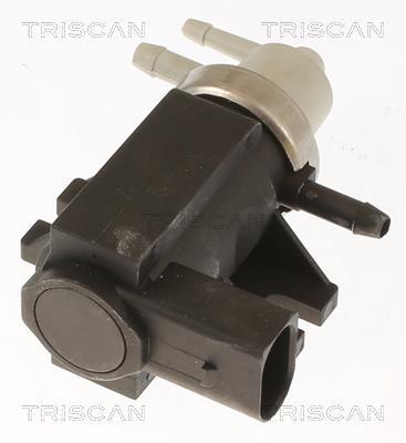 Vanne EGR Triscan A/S 8813 29103
