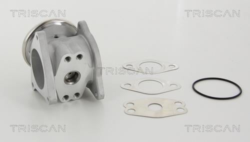 Vanne EGR Triscan A/S ref. 8813 29111