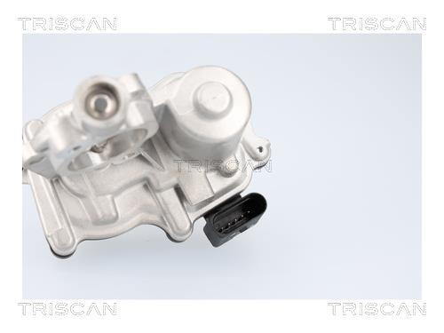 Vanne EGR Triscan A/S 8813 29116