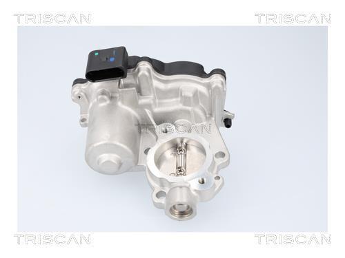 Vanne EGR Triscan A/S 8813 29116