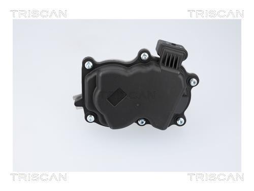 Vanne EGR Triscan A/S 8813 29116