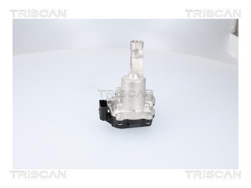 Vanne EGR Triscan A/S 8813 29116