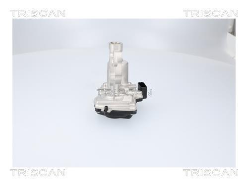 Vanne EGR Triscan A/S 8813 29116