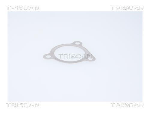 Vanne EGR Triscan A/S 8813 29116
