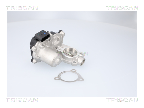 Vanne EGR Triscan A/S 8813 29116