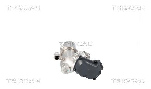 Vanne EGR Triscan A/S ref. 8813 29117