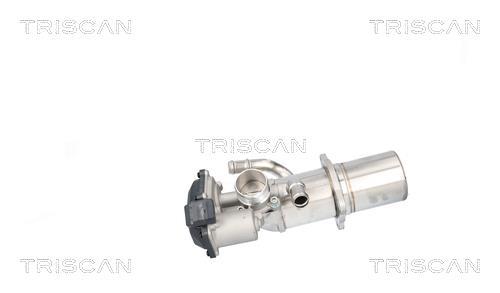 Vanne EGR Triscan A/S ref. 8813 29117