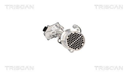 Vanne EGR Triscan A/S ref. 8813 29117