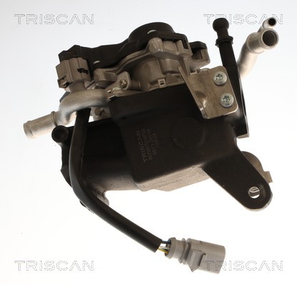 Vanne EGR Triscan A/S 8813 29118