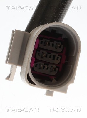 Vanne EGR Triscan A/S 8813 29118