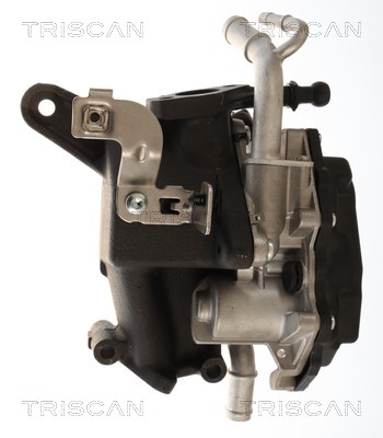 Vanne EGR Triscan A/S 8813 29118