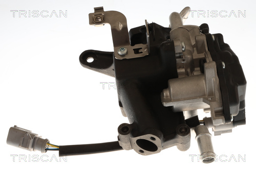 Vanne EGR Triscan A/S 8813 29118