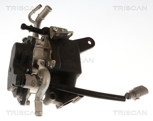 Vanne EGR Triscan A/S 8813 29118