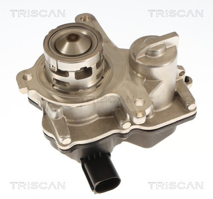 Vanne EGR Triscan A/S 8813 29119