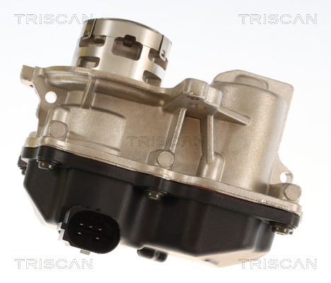 Vanne EGR Triscan A/S 8813 29119