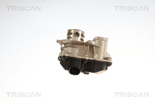 Vanne EGR Triscan A/S 8813 29119