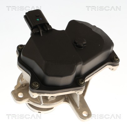 Vanne EGR Triscan A/S 8813 29119
