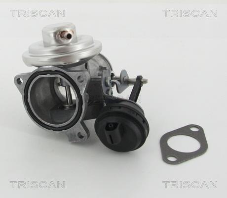 Vanne EGR Triscan A/S 8813 29201