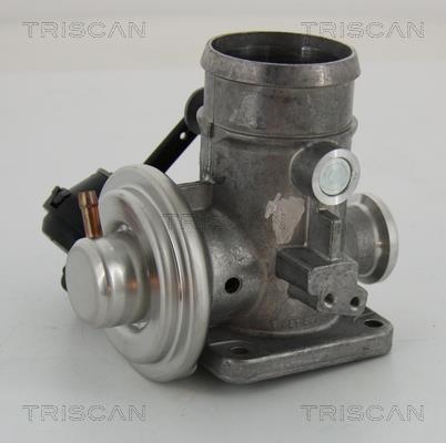 Vanne EGR Triscan A/S 8813 29300