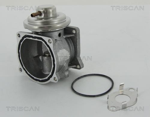 Vanne EGR Triscan A/S 8813 29301