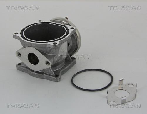 Vanne EGR Triscan A/S 8813 29301