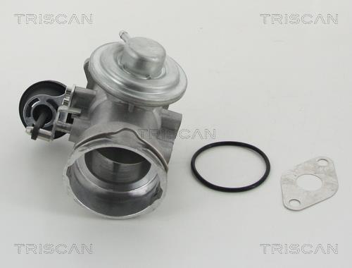 Vanne EGR Triscan A/S 8813 29302