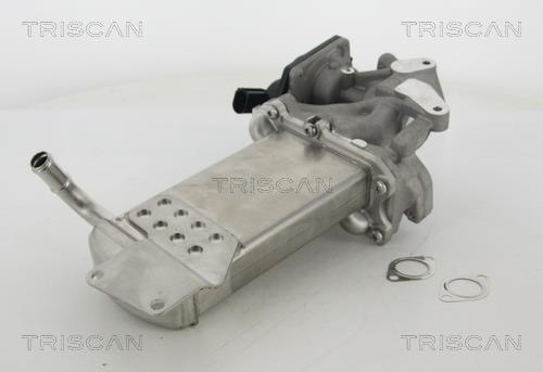 Vanne EGR Triscan A/S 8813 29302