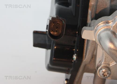 Vanne EGR Triscan A/S 8813 29305