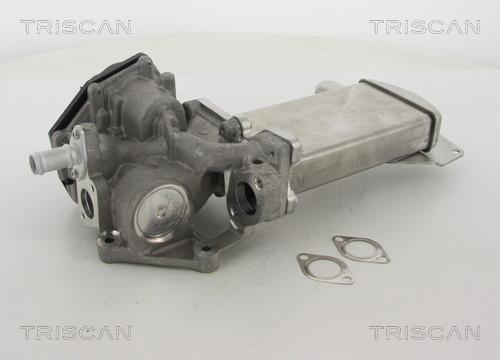 Vanne EGR Triscan A/S 8813 29305