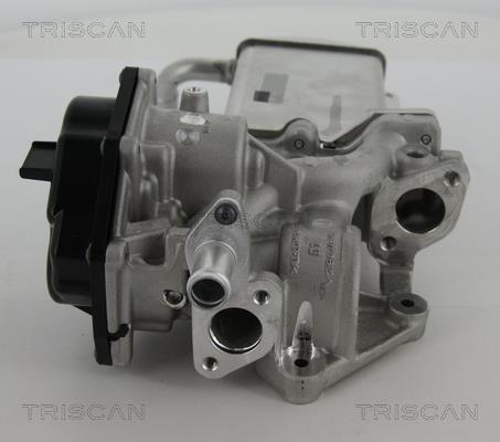 Vanne EGR Triscan A/S 8813 29305