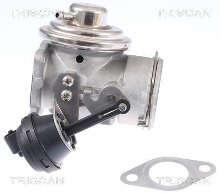 Vanne EGR Triscan A/S 8813 29308