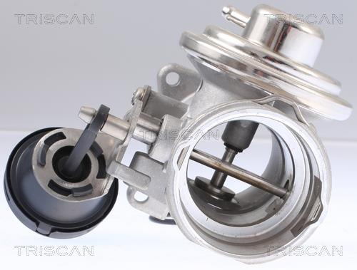 Vanne EGR Triscan A/S 8813 29308