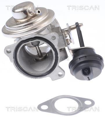 Vanne EGR Triscan A/S 8813 29308