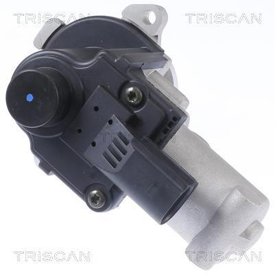 Vanne EGR Triscan A/S 8813 29310