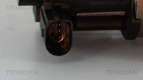 Vanne EGR Triscan A/S 8813 29312