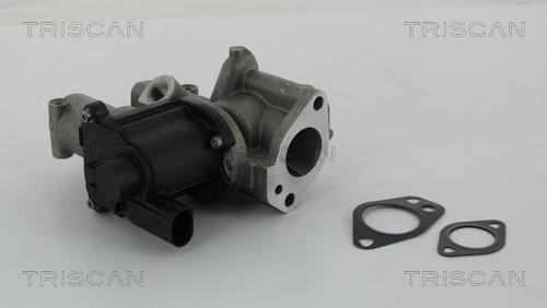 Vanne EGR Triscan A/S 8813 29312