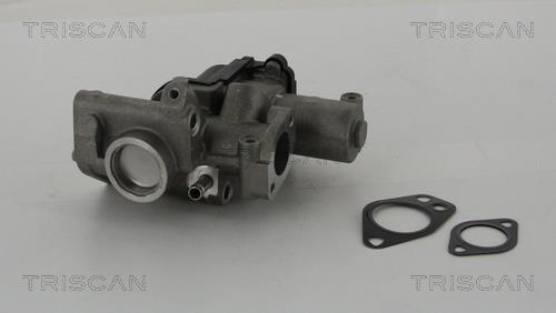 Vanne EGR Triscan A/S 8813 29312