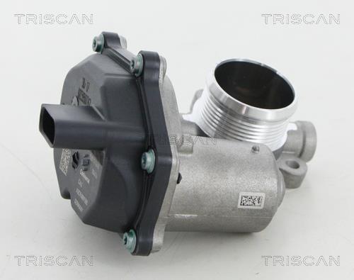 Válvula EGR Triscan A/S ref. 8813 29315