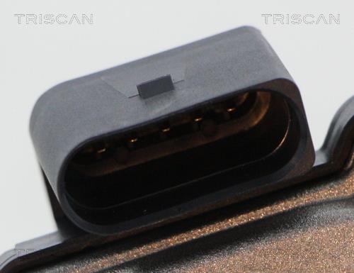 Vanne EGR Triscan A/S 8813 29316