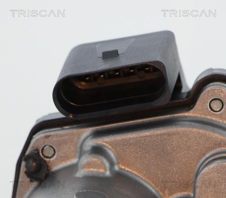 Vanne EGR Triscan A/S 8813 29317