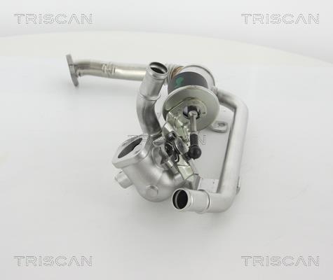 Vanne EGR Triscan A/S 8813 29319