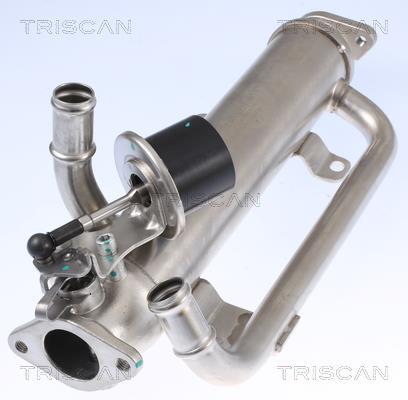 Radiador válvula egr Triscan A/S ref. 8813 29320